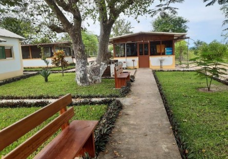 Comprar Fazenda de 5.000 hectares, na comuna do Cassoneca, município de Ícolo e Bengo, Bengo.