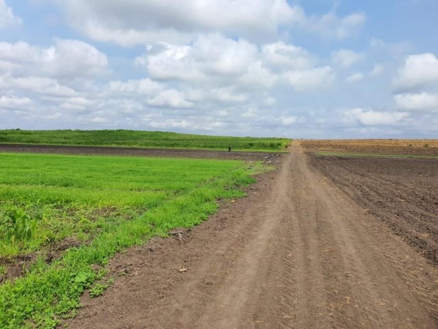 A Venda Fazenda de 5.000 hectares, na comuna do Cassoneca, município de Ícolo e Bengo, Bengo.