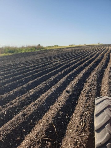 A Venda Fazenda de 5.000 hectares, na comuna do Cassoneca, município de Ícolo e Bengo, Bengo.