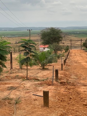 A Venda Fazenda de 5.000 hectares, na comuna do Cassoneca, município de Ícolo e Bengo, Bengo.