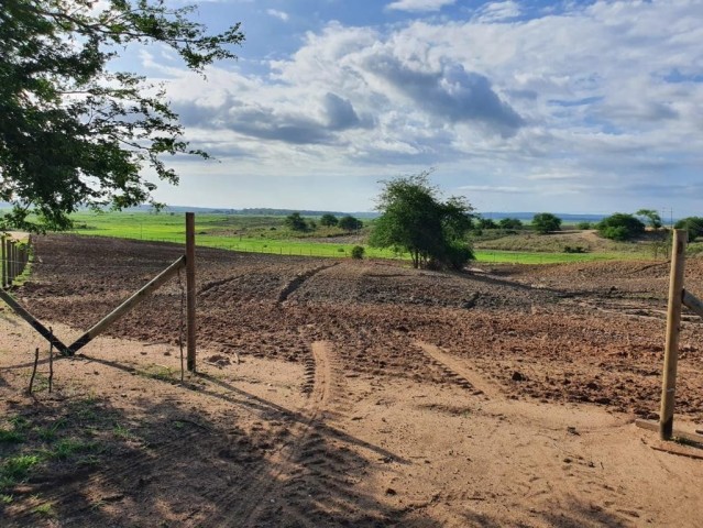 A Venda Fazenda de 5.000 hectares, na comuna do Cassoneca, município de Ícolo e Bengo, Bengo.