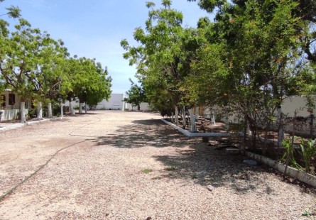 Anúncio Fazenda 2 Hectares à Venda Zona Segura Investimento Rural