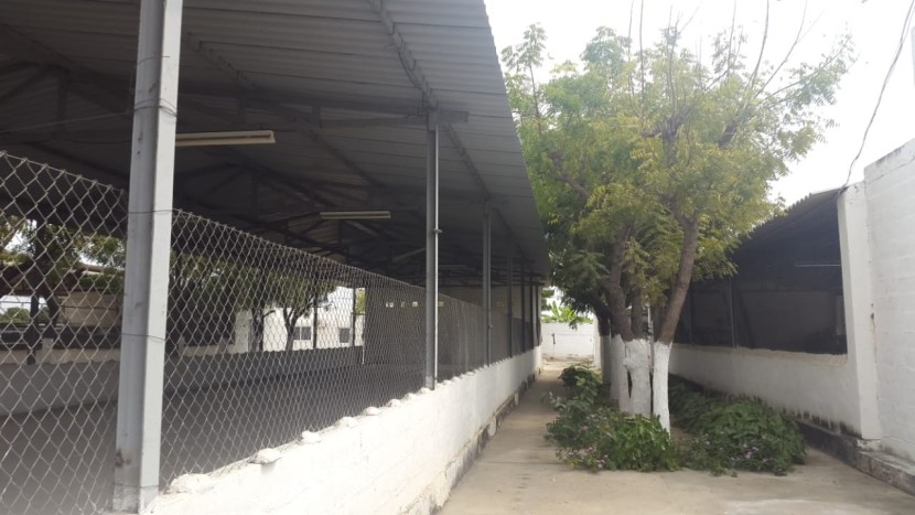 A Venda Fazenda 2 Hectares à Venda Zona Segura Investimento Rural