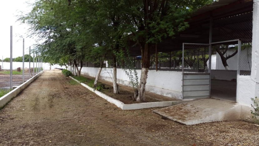 A Venda Fazenda 2 Hectares à Venda Zona Segura Investimento Rural