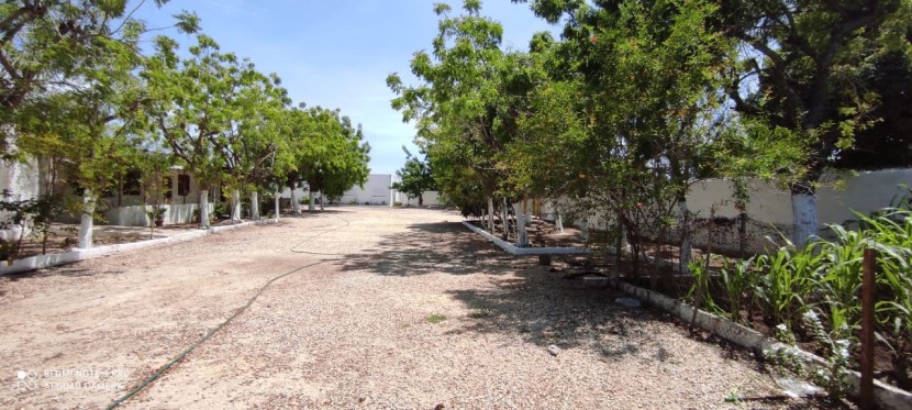 A Venda Fazenda 2 Hectares à Venda Zona Segura Investimento Rural