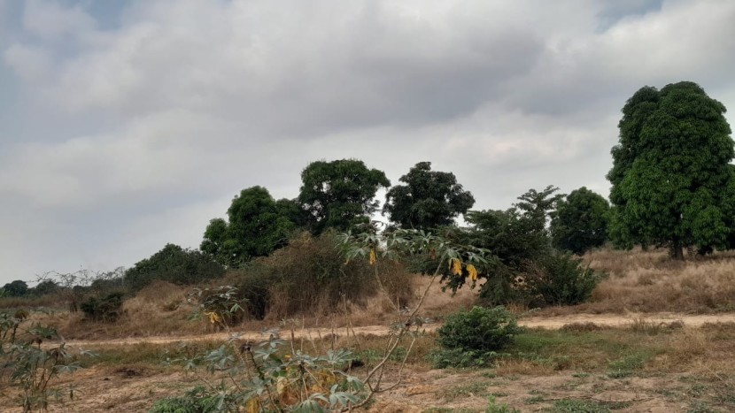 A Venda Terreno a venda nos arredores do Novo Aeroporto Internacional De Angola