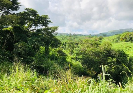 Anúncio FAZENDA À VENDA CAZENGO/ CUANZA NORTE