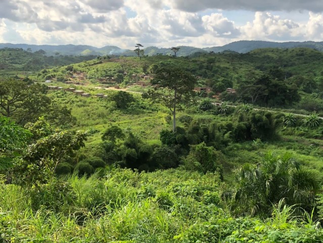 A Venda FAZENDA À VENDA CAZENGO/ CUANZA NORTE