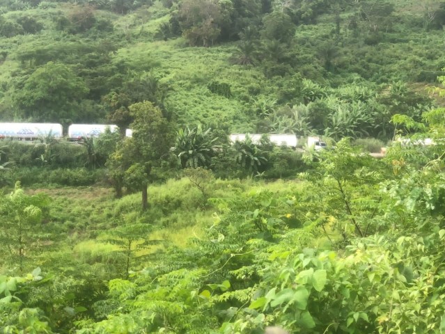 A Venda FAZENDA À VENDA CAZENGO/ CUANZA NORTE