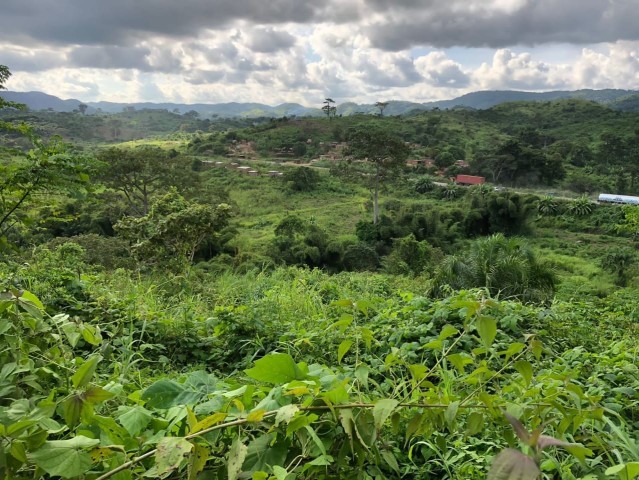 A Venda FAZENDA À VENDA CAZENGO/ CUANZA NORTE