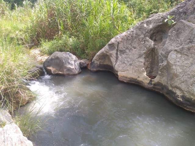 A Venda FAZENDA À VENDA CAZENGO/ CUANZA NORTE