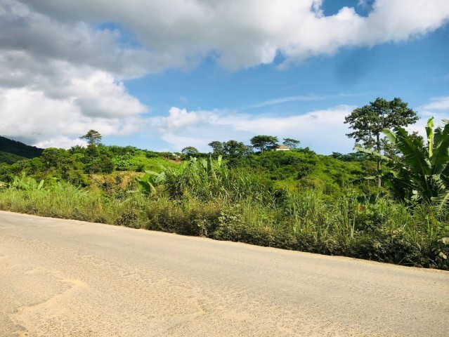 A Venda FAZENDA À VENDA CAZENGO/ CUANZA NORTE