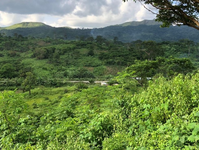 A Venda FAZENDA À VENDA CAZENGO/ CUANZA NORTE