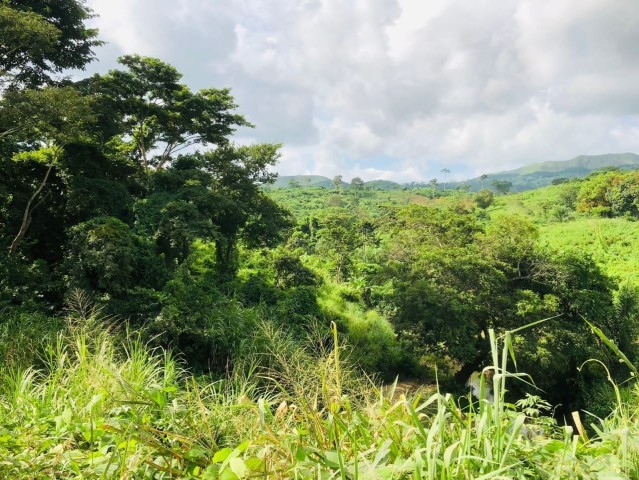 A Venda FAZENDA À VENDA CAZENGO/ CUANZA NORTE
