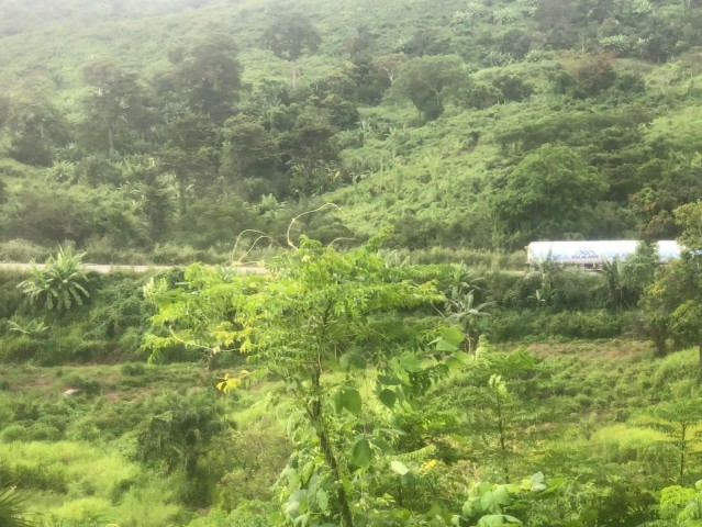 A Venda FAZENDA À VENDA CAZENGO/ CUANZA NORTE
