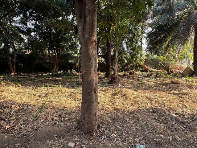 A Venda Vendo Terreno No Nova Vida