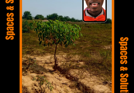 Anúncio **Terreno à Venda no Ramiro Município de Belas/Ramiro**