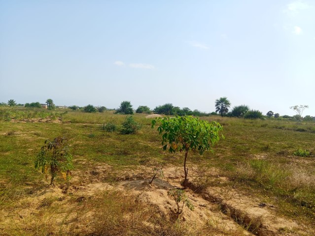A Venda **Terreno à Venda no Ramiro Município de Belas/Ramiro**