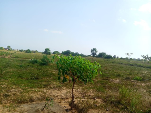 A Venda **Terreno à Venda no Ramiro Município de Belas/Ramiro**