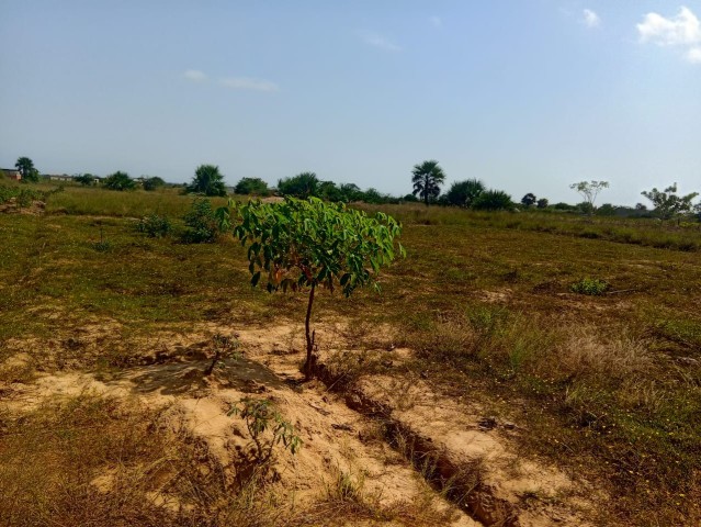 A Venda **Terreno à Venda no Ramiro Município de Belas/Ramiro**