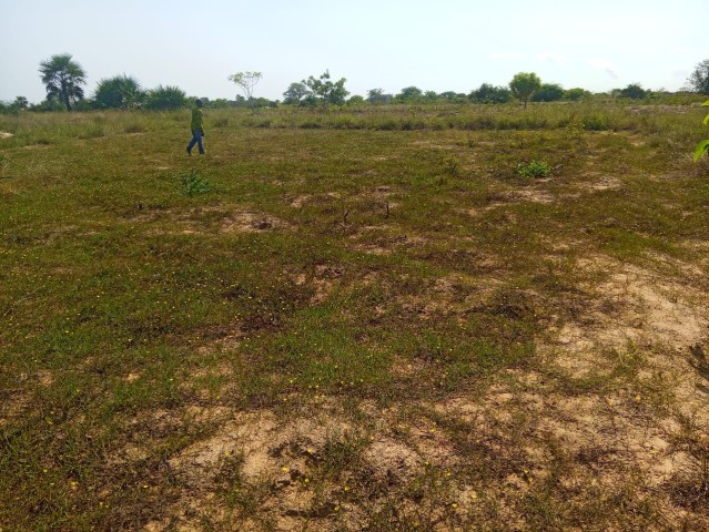 A Venda **Terreno à Venda no Ramiro Município de Belas/Ramiro**
