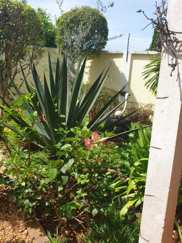 A Venda Vivenda V4 com anexo e piscina, no Projeto Nova Vida, Golfe 2.