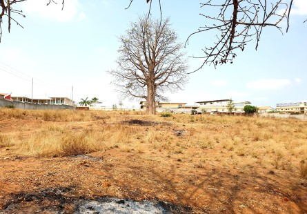 Anúncio TERRENO DE 2 HECTARES NO PATRIOTA