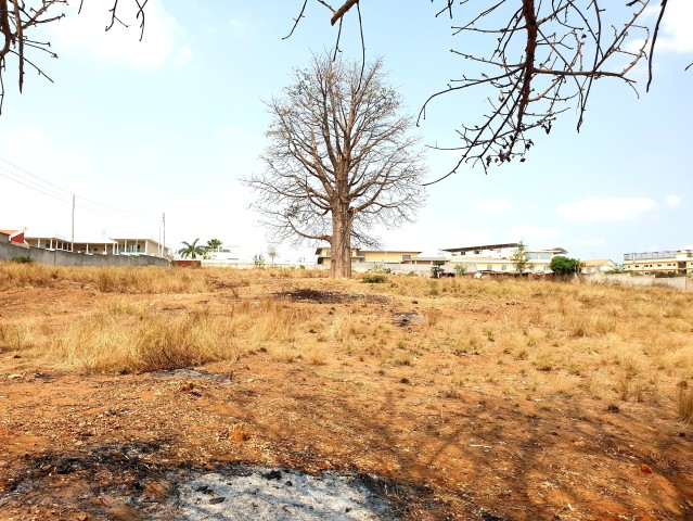 A Venda TERRENO DE 2 HECTARES NO PATRIOTA