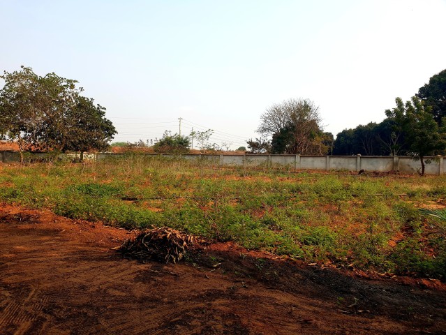 A Venda QUINTA DE 13 HECTARES NO CANAL DO KIKUXI, ZANGO 3