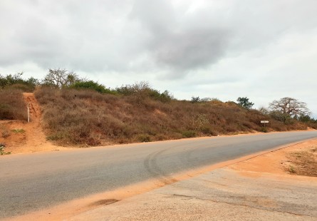 Anúncio TERRENO BEIRA ESTRADA DE 7 HECTARES NO CALUMBO