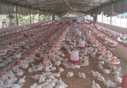 Apartamento T2, no Condomínio Belas Business Park, Talatona.