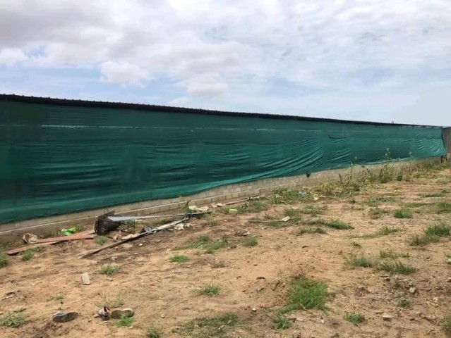 A Venda Aviário na Zona Verde, Benfica.