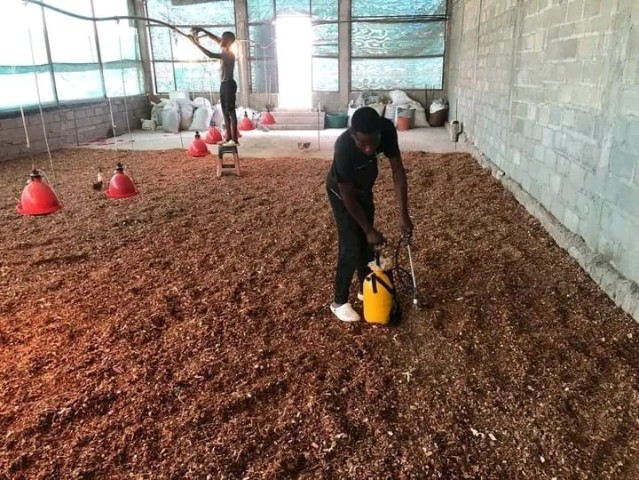 A Venda Aviário na Zona Verde, Benfica.