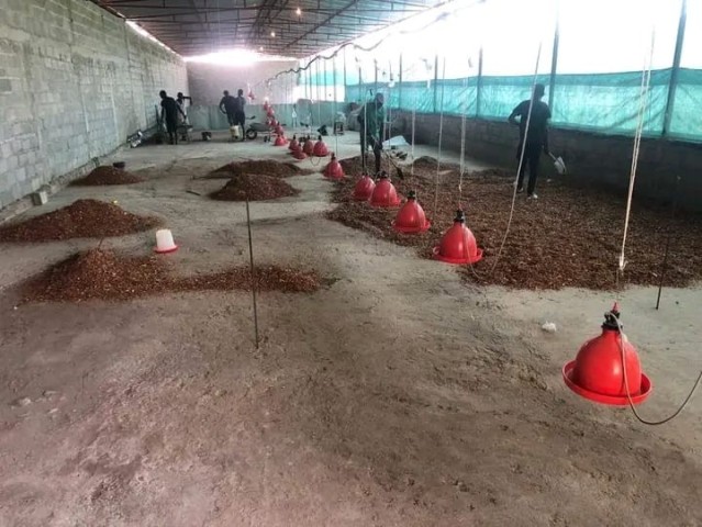 A Venda Aviário na Zona Verde, Benfica.