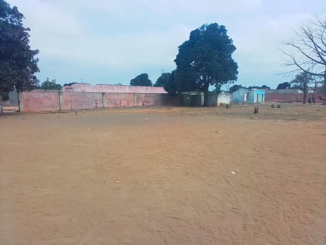 A Venda TENHO DISPONÍVEL DOIS HECTARES NA CAOP (VIANA) 5MINUTOS DA ESTRADA PRINCIPAL