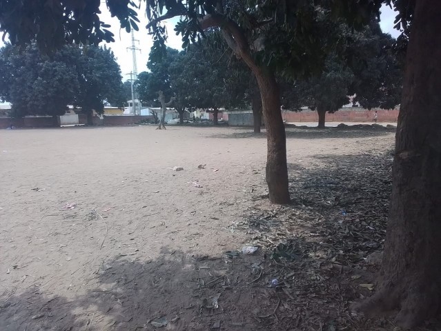 A Venda TENHO DISPONÍVEL DOIS HECTARES NA CAOP (VIANA) 5MINUTOS DA ESTRADA PRINCIPAL