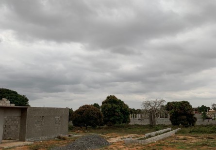 Anúncio Terreno a venda, 2 hectares