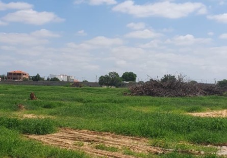 Comprar Venda imediata de hectares
