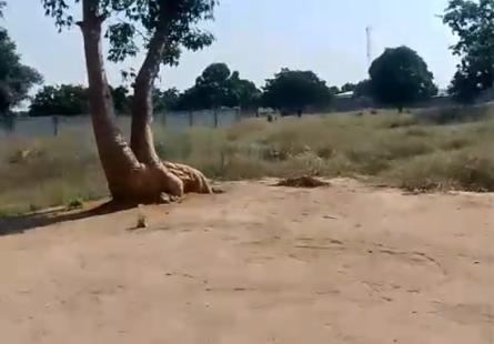 Terreno de 2 Hectares e meio
