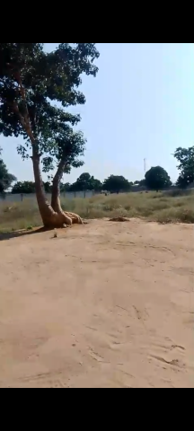 Comprar Terreno de 2 Hectares e meio