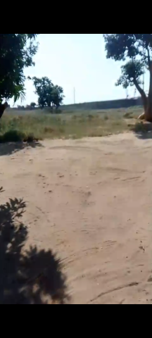Comprar Terreno de 2 Hectares e meio
