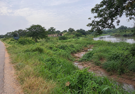 Comprar Fazenda de 250 hectares