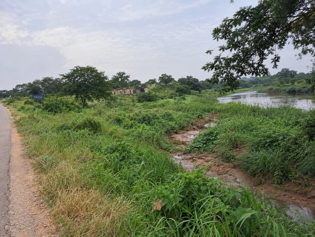 Comprar Fazenda de 250 hectares