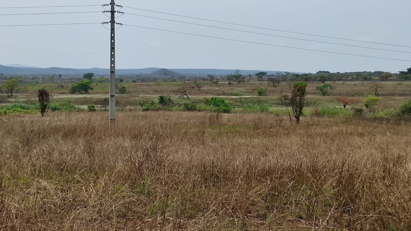 Comprar Fazenda com 250 hectares na Província de malanje