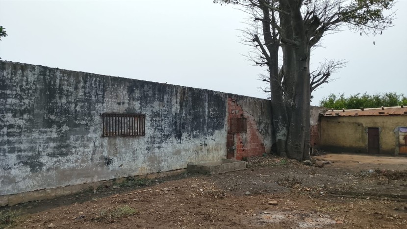 Comprar Fazenda com 250 hectares na Província de malanje