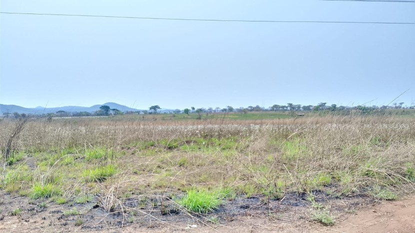 Comprar Fazenda com 250 hectares na Província de malanje