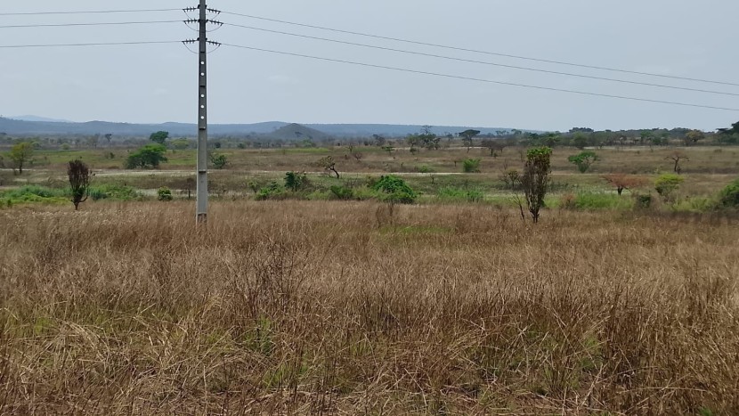 Comprar Fazenda com 250 hectares na Província de malanje