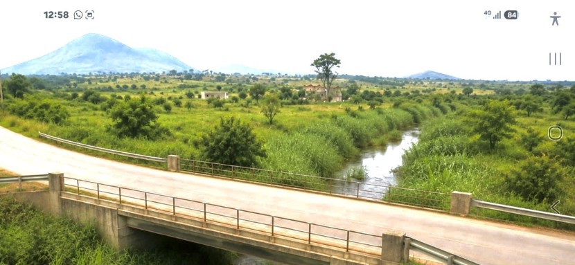 Comprar Fazenda com 250 hectares na Província de malanje