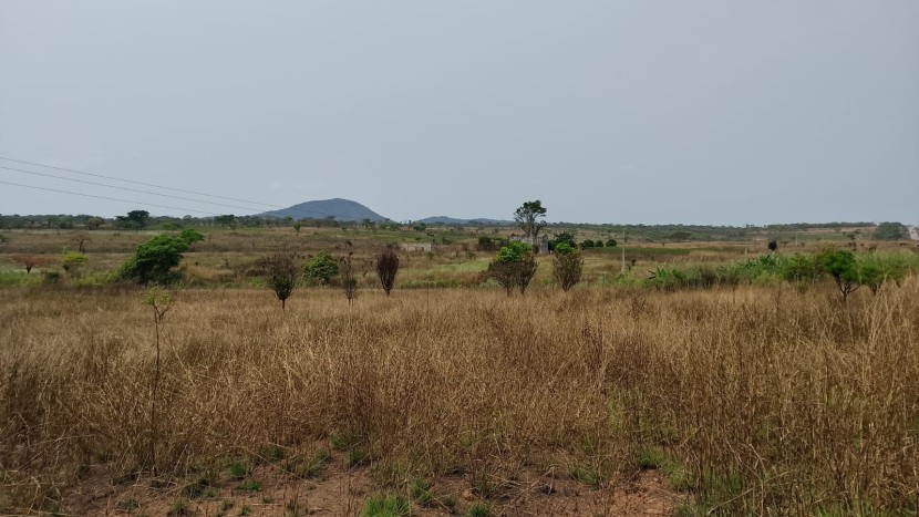 Comprar Fazenda com 250 hectares na Província de malanje