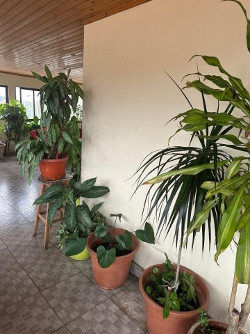 Comprar Moradia V3 na Maianga